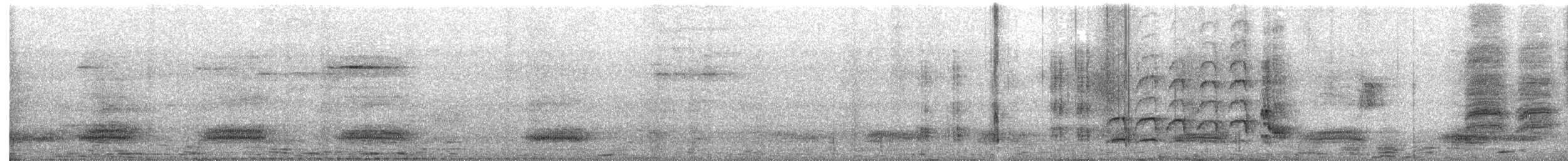 Hirtenmaina - ML645581847