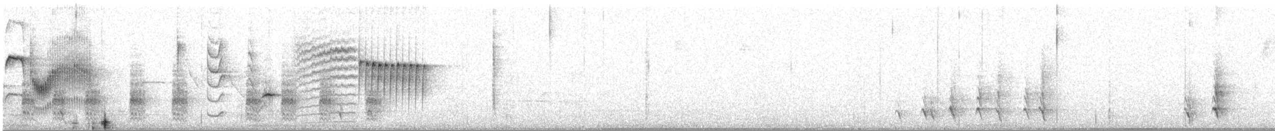 Grass Wren - ML645581875