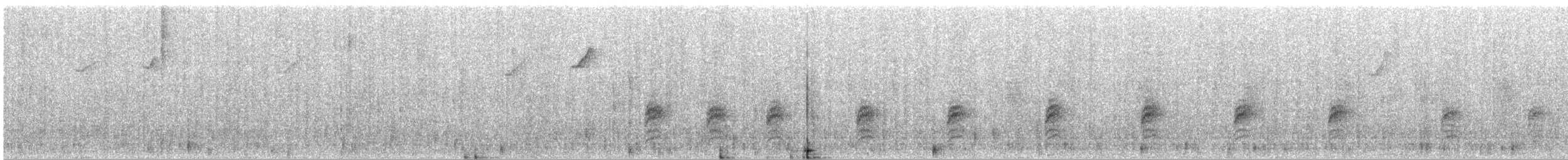 Einfarb-Zaunkönig - ML645581886