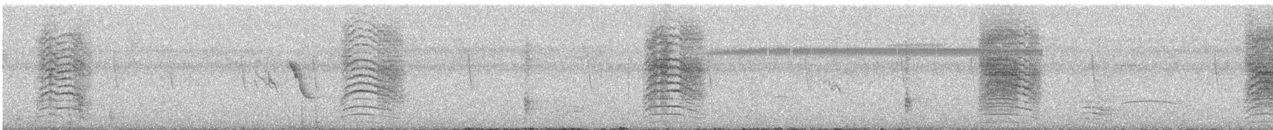 Katzenspottdrossel - ML645581914