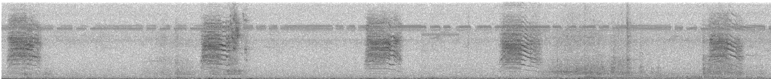 Katzenspottdrossel - ML645582024