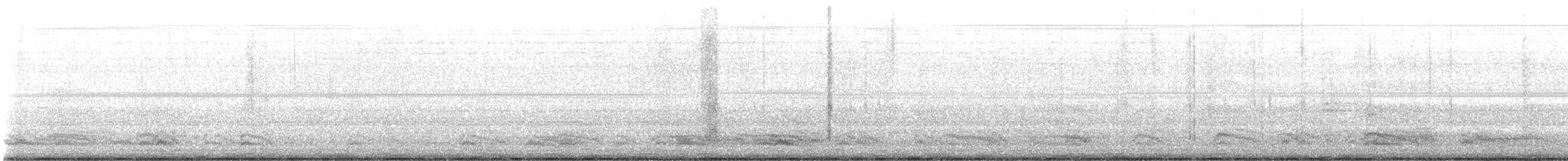 Amerikakrähe - ML645582082