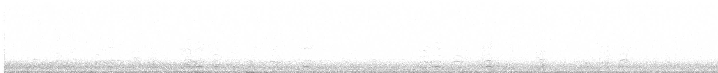 Schneegans - ML645582658