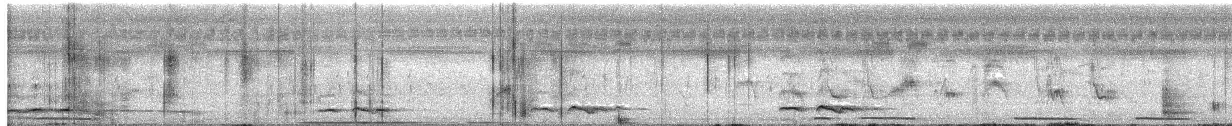 Glanzkrähe - ML645582664