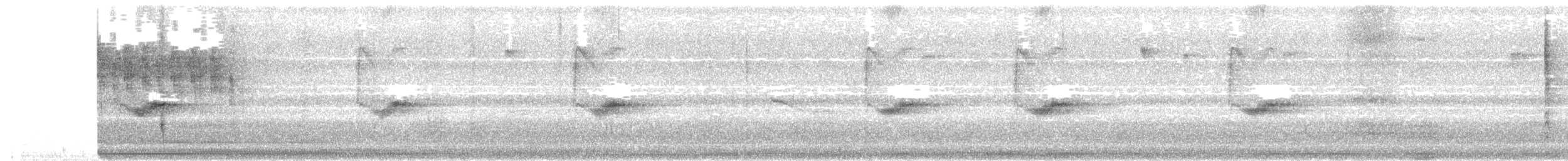 Huttonvireo - ML645582791