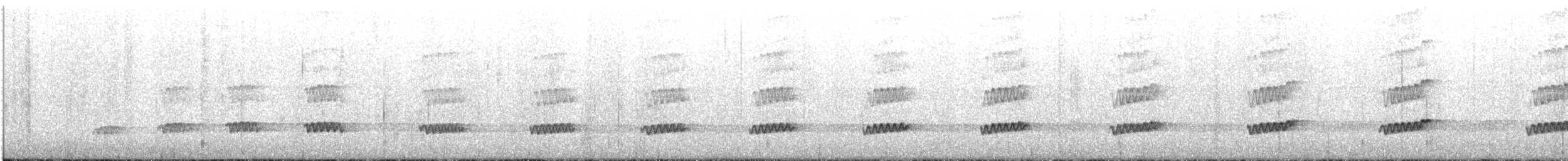 Zwergkiwi - ML645582860