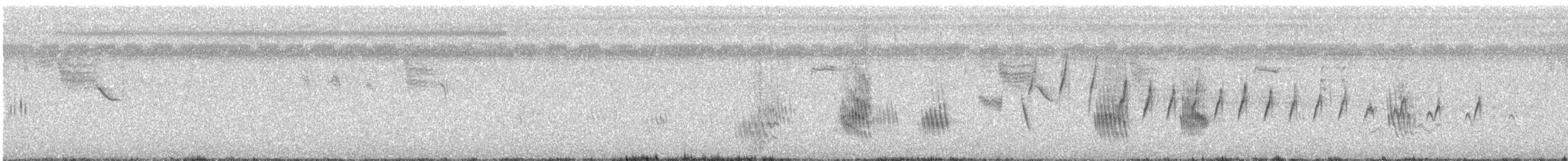 Graubrustschwalbe - ML645582974