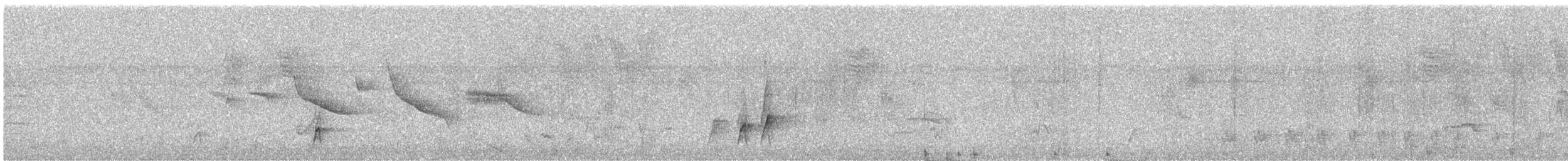 Schwarzschnabeldrossel - ML645583255