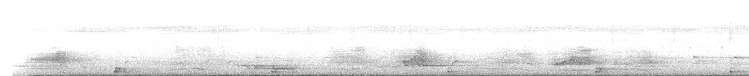 Tusked Frog - ML645583492