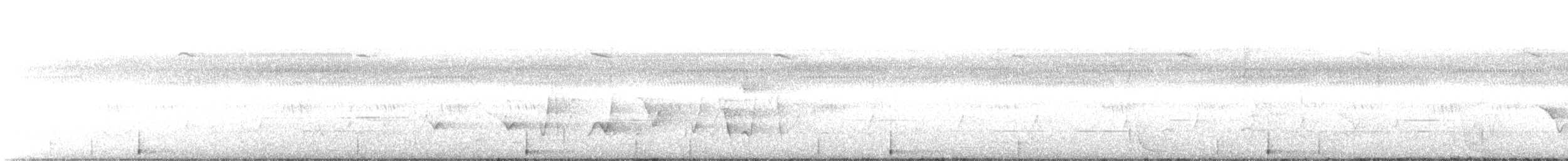 Striped Marsh Frog - ML645583606