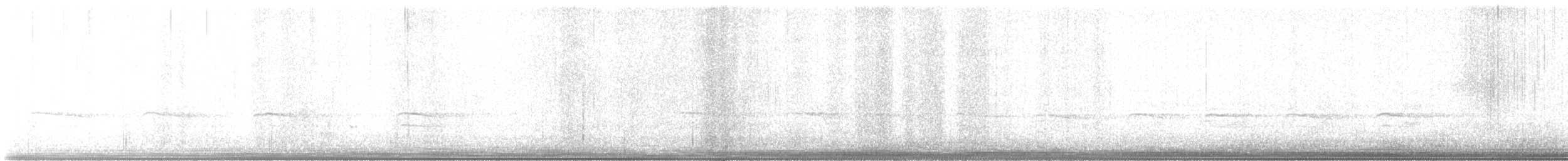 チャバラマユミソサザイ - ML645584149