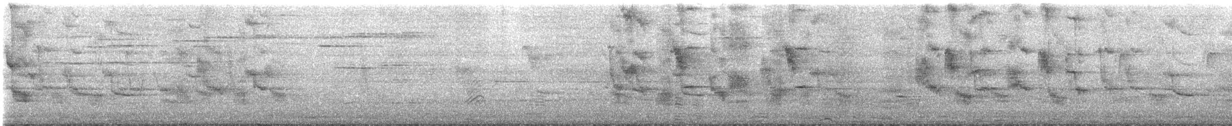 Black-collared Starling - ML645584499