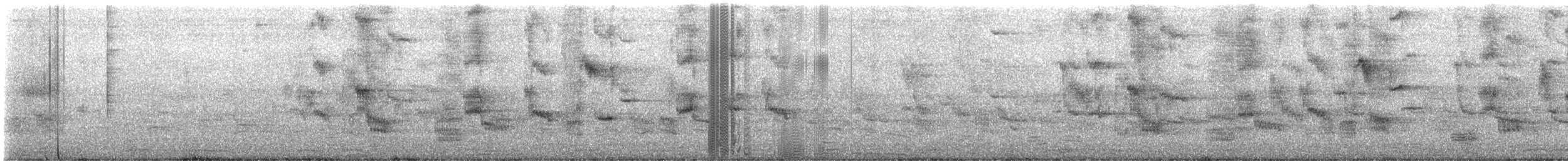 Black-collared Starling - ML645584500