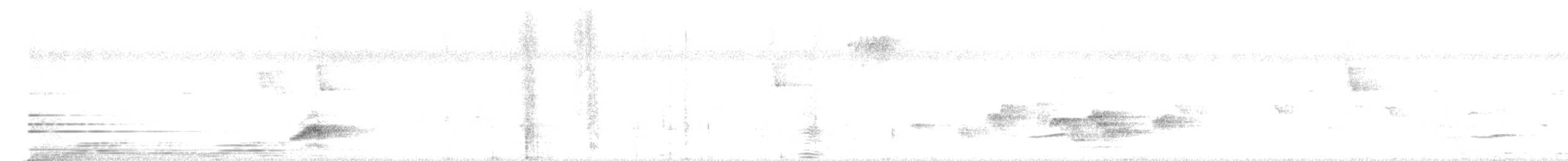 Gray Junglefowl - ML645584760