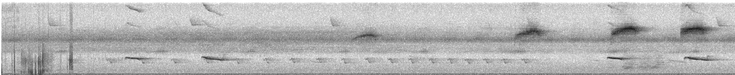 Chestnut-backed Antbird - ML645585326