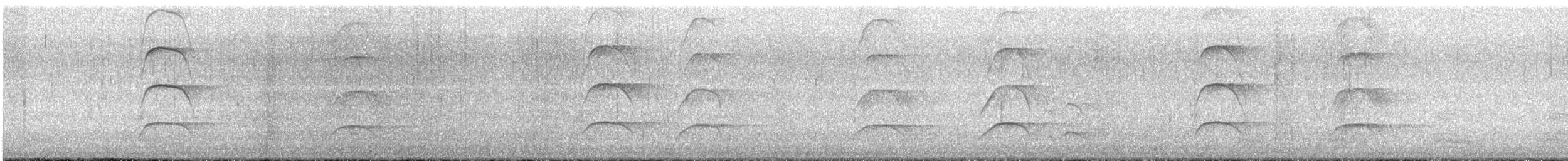 Кулик-сорока чорний - ML645585397