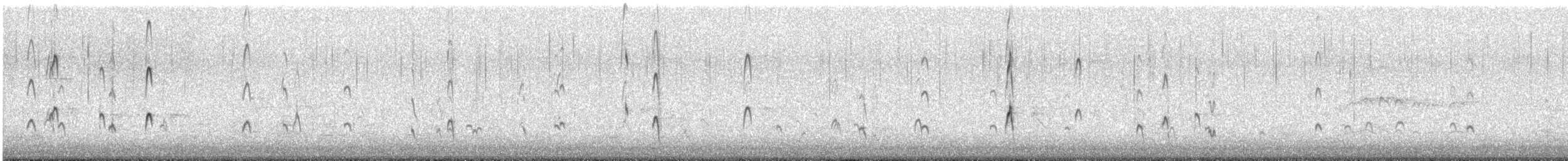 Неголь довгодзьобий - ML645585620