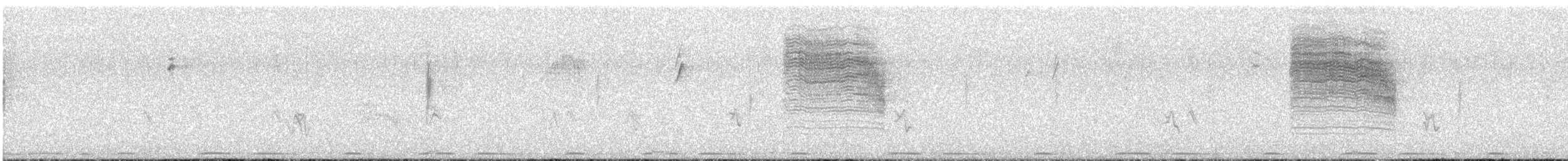 Northern House Wren - ML645585676