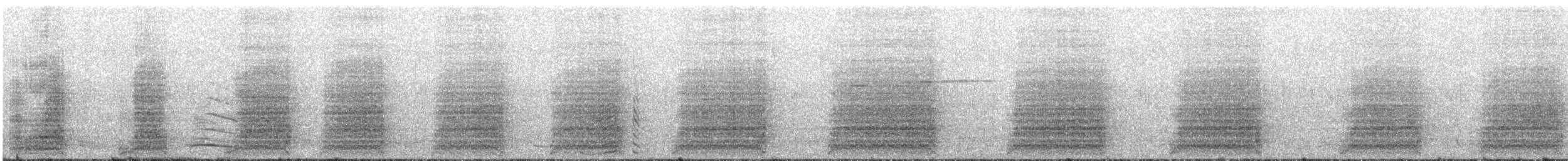 Yellow-tailed Black-Cockatoo - ML645586086