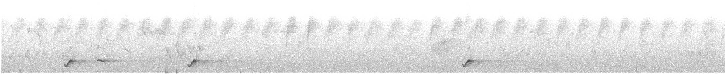 Ave sp. - ML645586364