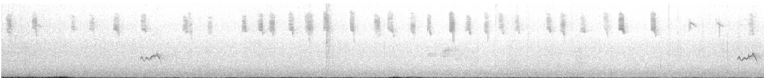 Kara Kulaklı Guguk - ML645586771