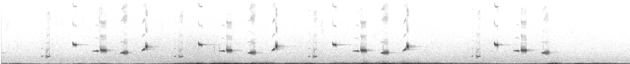 Kara Boğazlı Kamçıkuşu (nigrogularis/oberon) - ML645586790