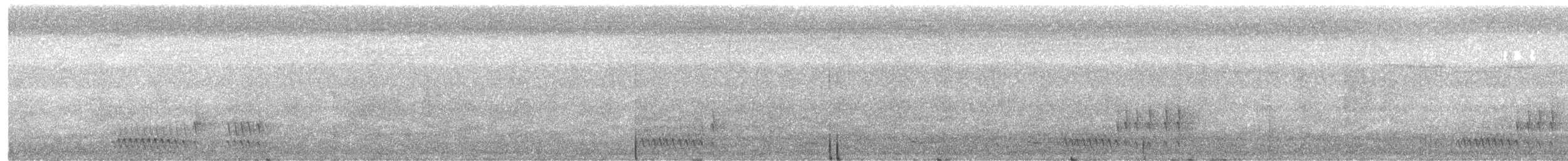 Graceful Black-throated Trogon - ML645587561