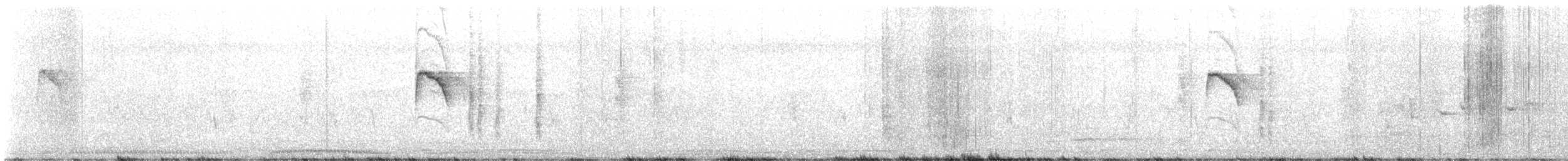 Tawny-bellied Babbler - ML645588500