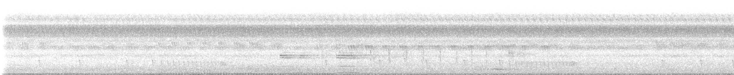 Indian Nightjar - ML645588550