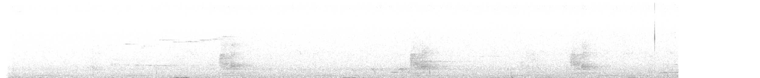 Brush Bronzewing - ML645588629