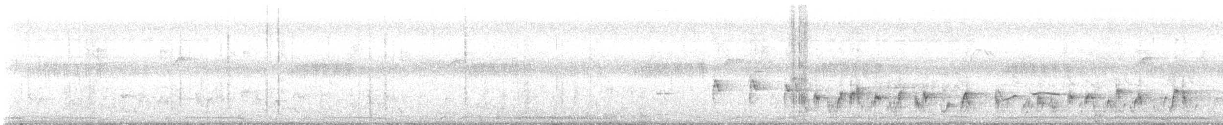 White-browed Bulbul - ML645588932