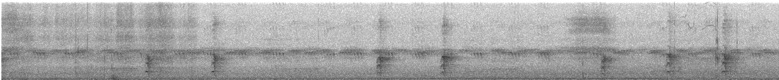 Western Screech-Owl - ML645588995