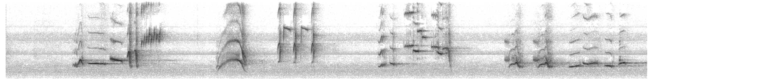 Mirlo Común - ML645589359