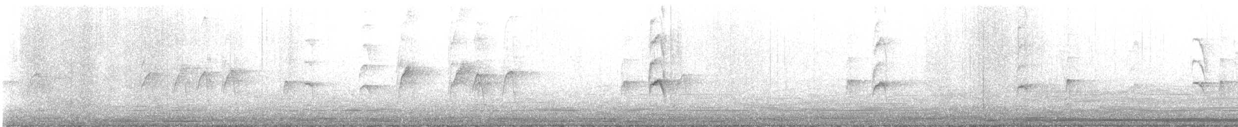 ハイガシラコゲラ - ML645589564