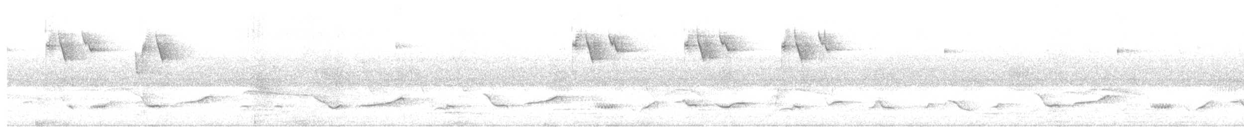 hvithakekolibri - ML645589593