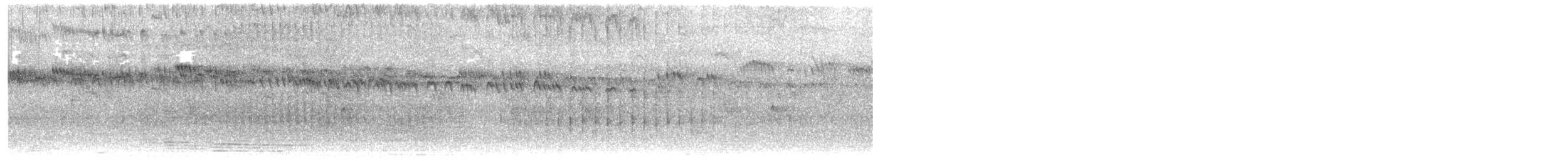 karibseiler - ML645590072