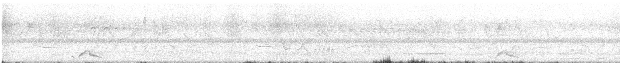 pauraquenattravn - ML645590481