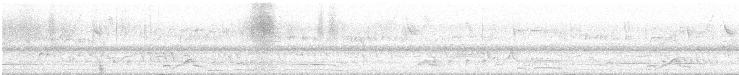 pauraquenattravn - ML645590482