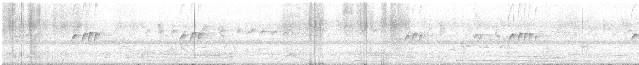 pauraquenattravn - ML645590484