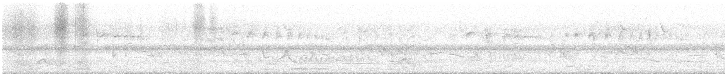 pauraquenattravn - ML645590486