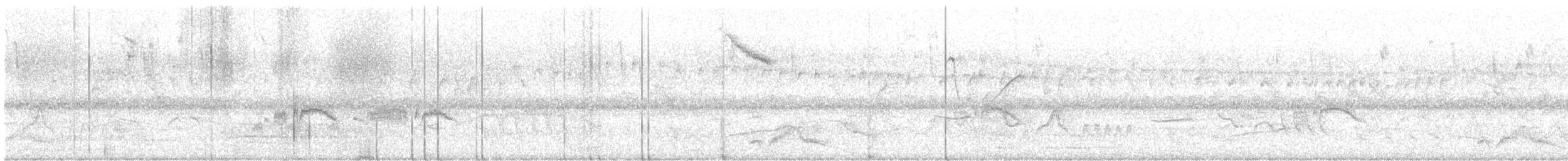 pauraquenattravn - ML645590487