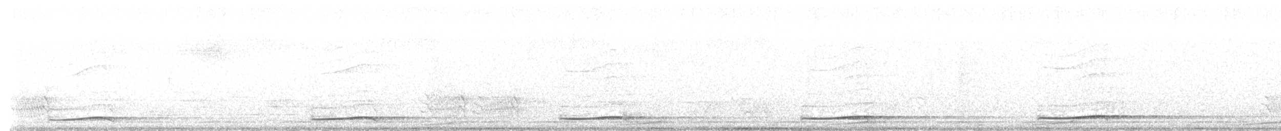 grånebbkoel - ML645590512