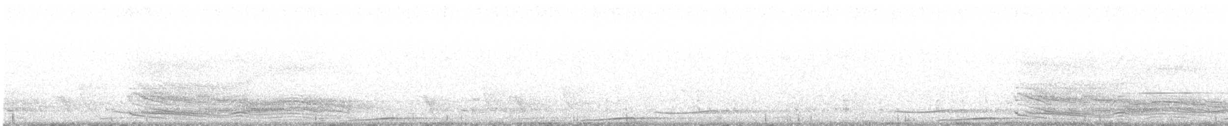 grønnkattefugl - ML645590520