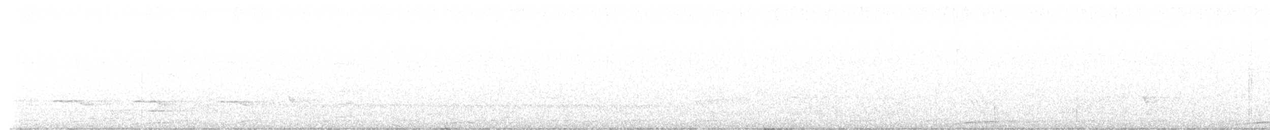 Sahul Brush Cuckoo - ML645590667