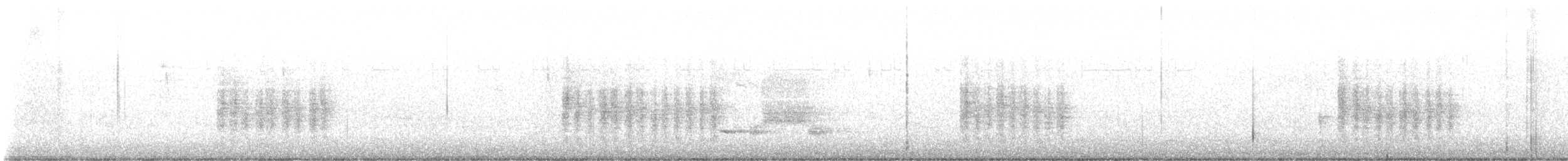 Oriole de Baltimore - ML645591137