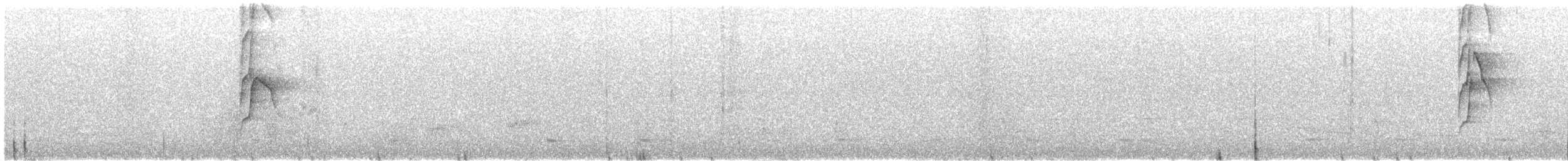 Tyran sociable - ML645591230