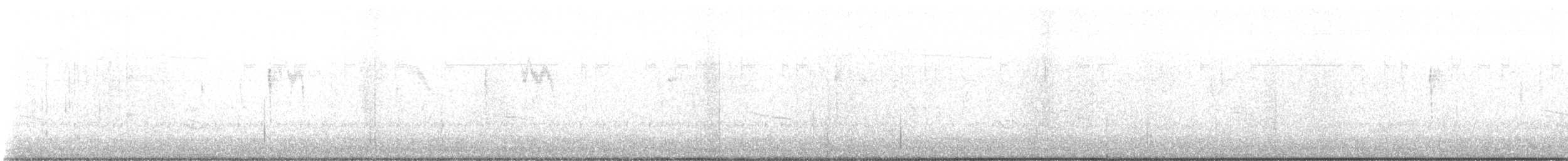 Merle d'Amérique - ML645591233