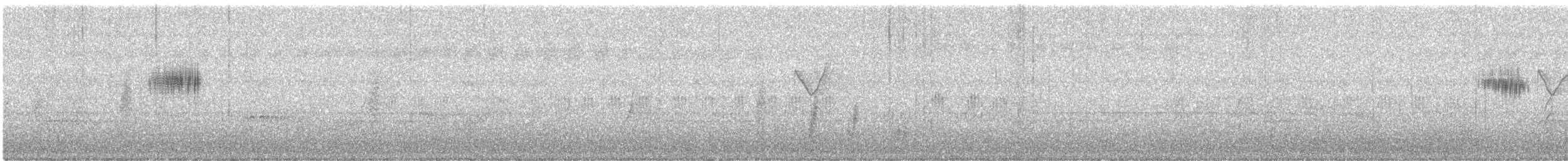 Locustelle de David - ML645591677