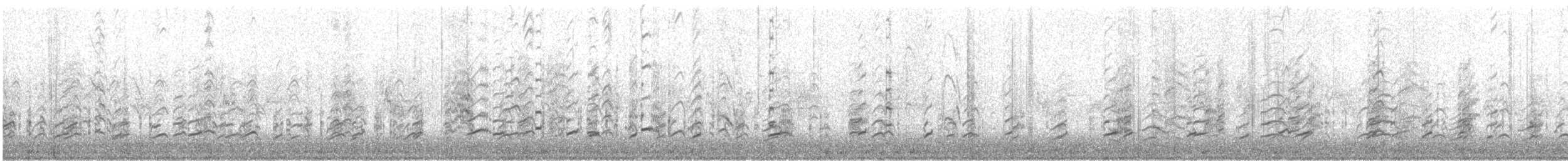 Zankaluze eurasiarra - ML645592933