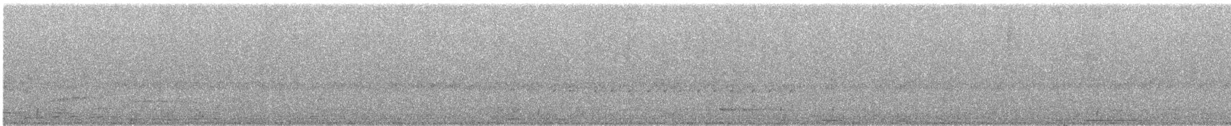 Gray-hooded Attila - ML645593007